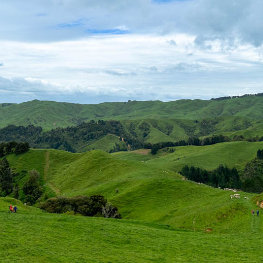 Matahura Valley luxury hiking tours