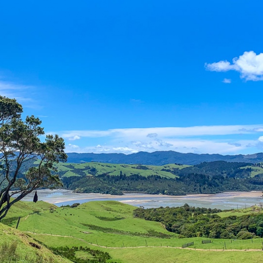 Pretty scenes at Waiomu