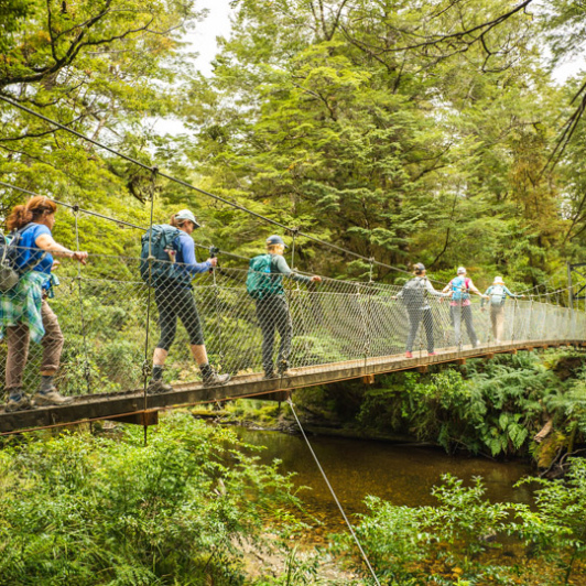 1. Crossing bridge Kepler Track