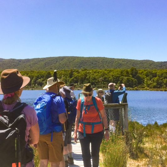 1. Group at Kepler Wetland