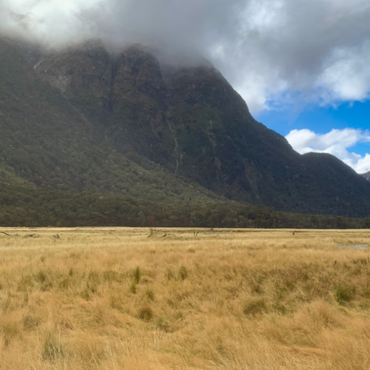 1. Guests walking valley Routeburn Track