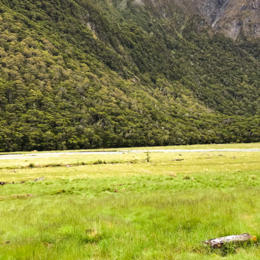 1. Happy guest in Fiordland