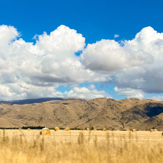 1. Hay in the field drive to Mt Cook