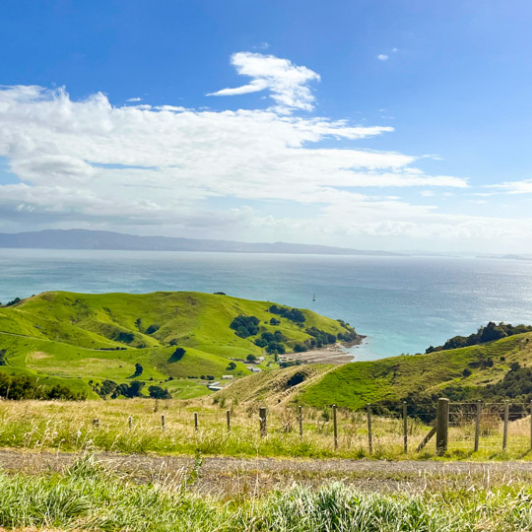 1. North Island coastal views