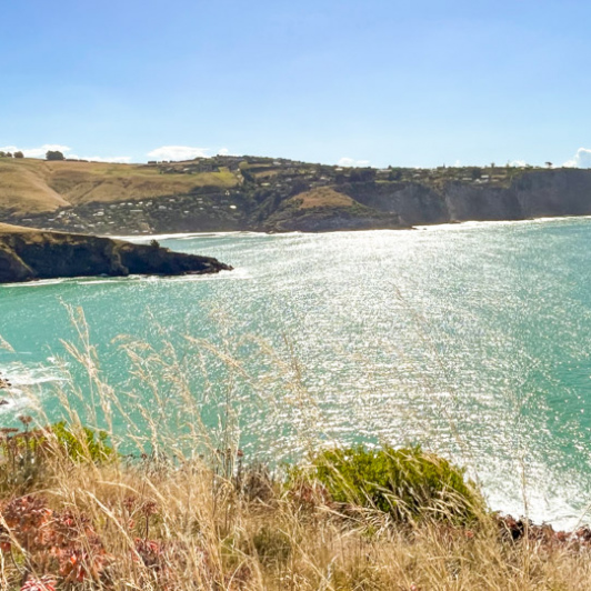 11.5. Godley Head Coast Walk