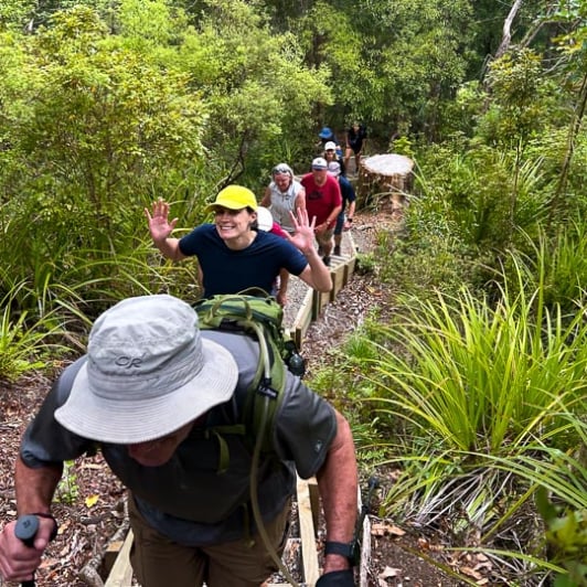 140125 Group walking in Waiomu Kauri Grove