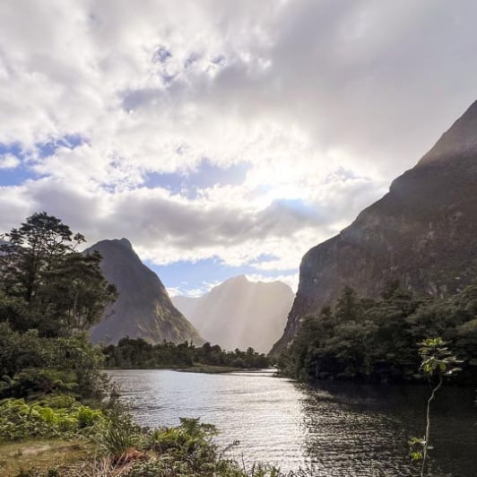 Milford Track GE27JAN25