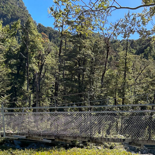 Paparoa National Park walking tours 