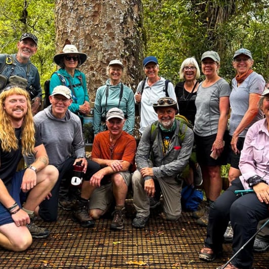 Waiomu Kauri Grove guided hiking tour 18FEB25