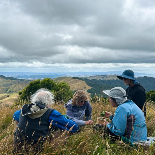 Guests having lunch in Matahuru Valley 200125