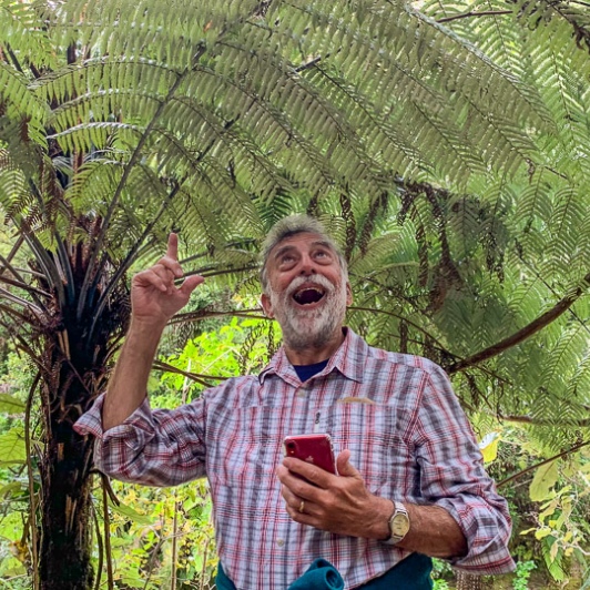 A guest marvelling at a punga tree