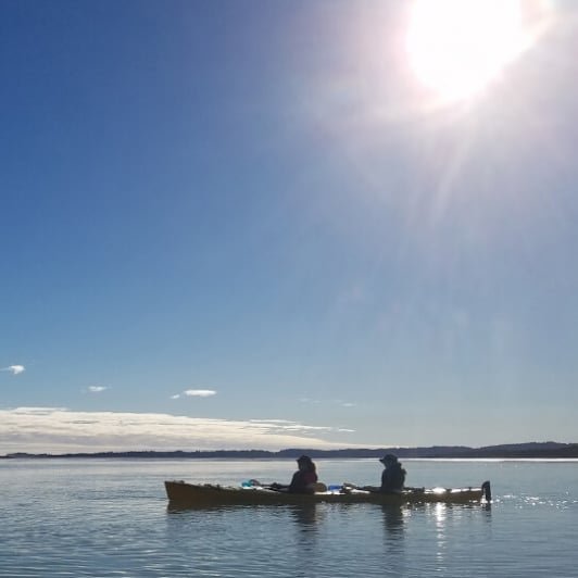 Kayaking Okarito Lagoon