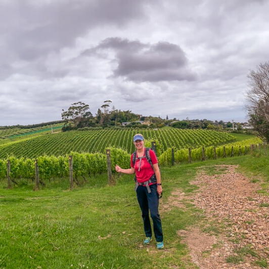 Cable Bay Vineyards, Waiheke Island Auckland New Zealand