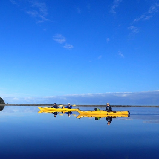 calm waters kayaking okarito lagoon