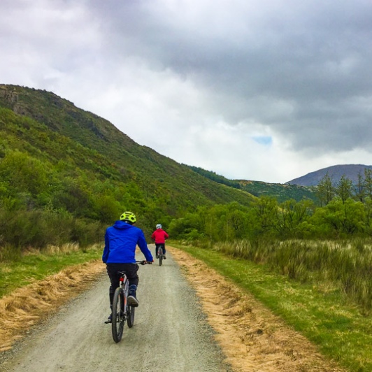 Biking the Queenstown trail