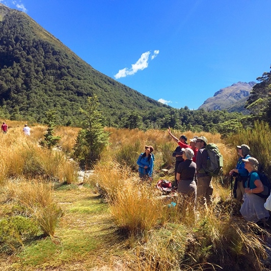 guide at arthurs pass new zealand