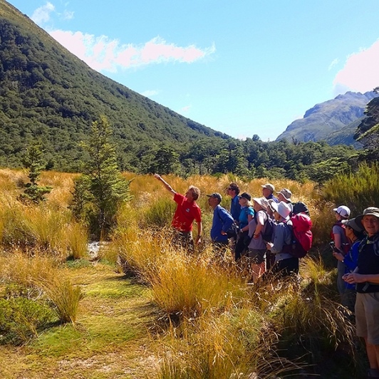 hiking in arthurs pass new zealand