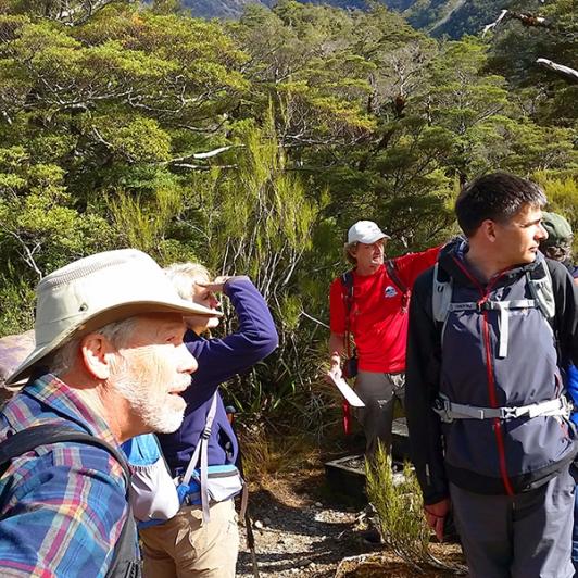 hiking at arthurs pass