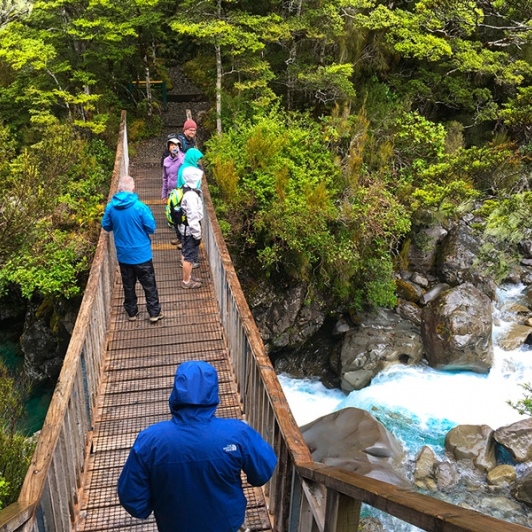 The group's first encounter with New Zealand's pristine bush at Arthur's Pass