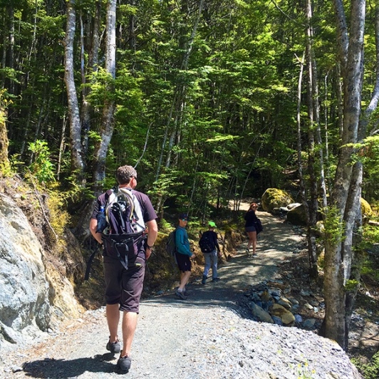 Walking on one of the many bush walks around Queenstown