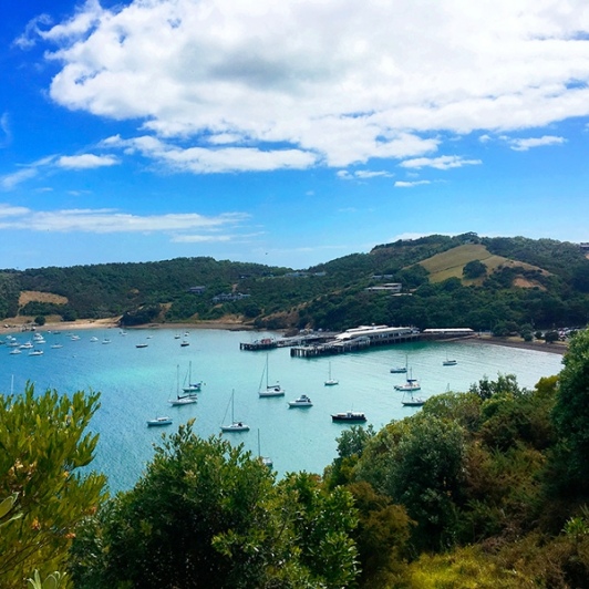 A stunning day overlooking Matiatia Bay