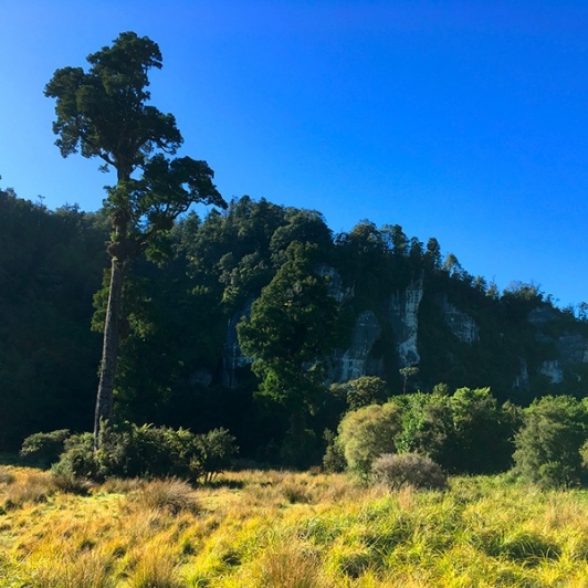 Incredible landscape at the nile River on the West Coast