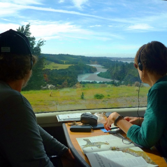 views from the tranzalpine train