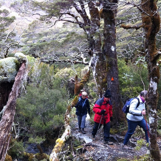 Hiking Arthurs Pass National Park