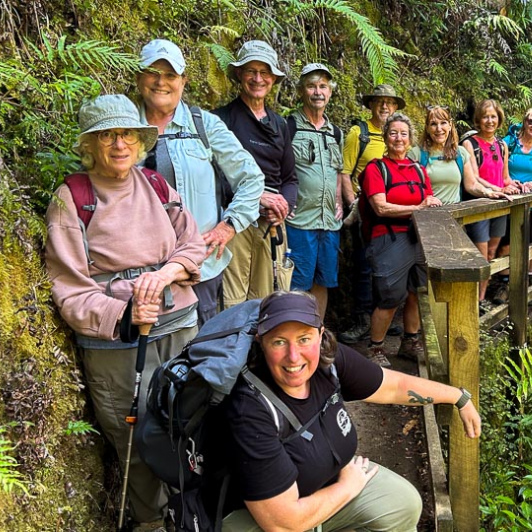 Explore Waiomu Kauri Grove 3rd December 2024 3