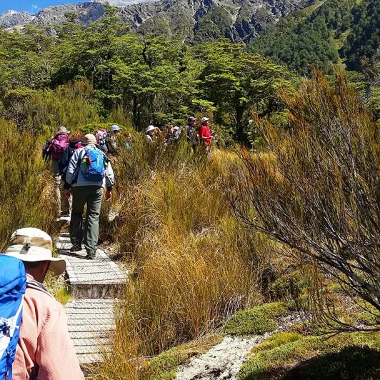 hiking at arthurs pass