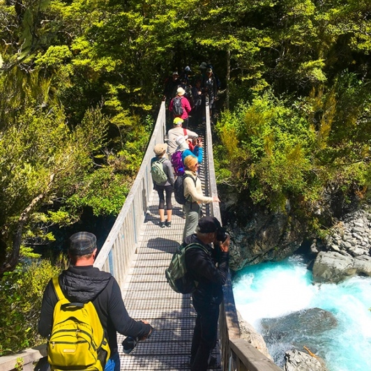 Our first encounter with New Zealand bush and the pristine waters in Arthurs Pass National Park