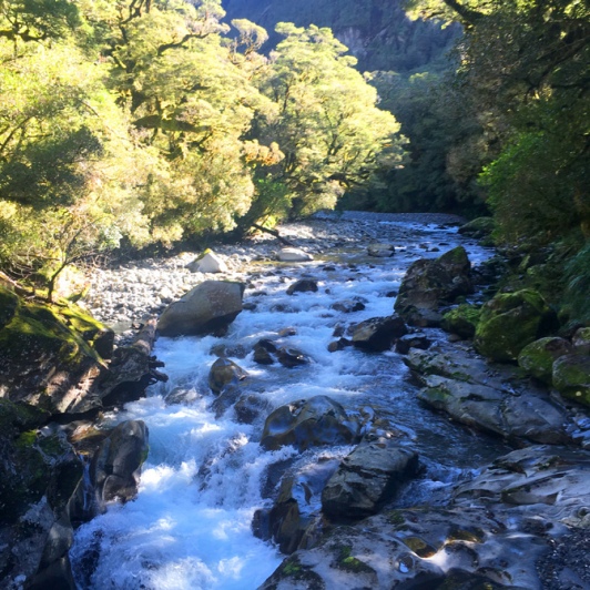 1 chasm cleddau river fiordland southland2