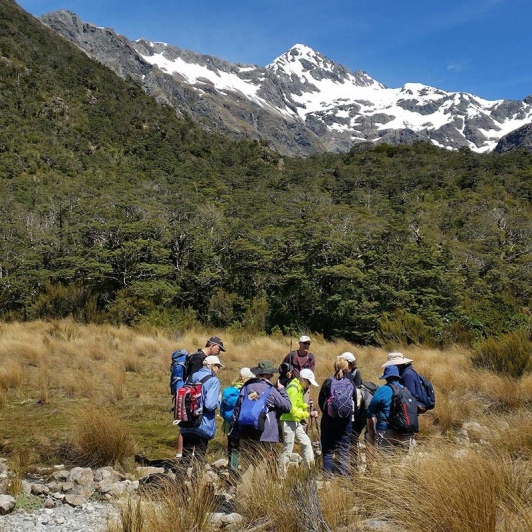 Arthurs Pass Hiking