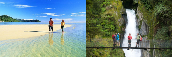 Views of Abel Tasman and Milford Track