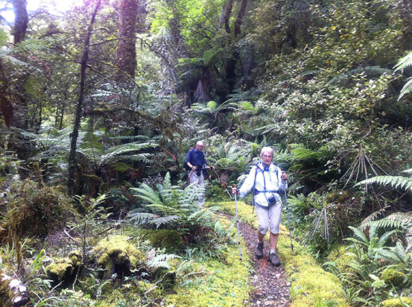 Walking-Hollyford-Track.jpg