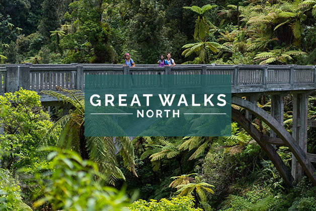 Great Walks North - North Island Adventure - 5 Days